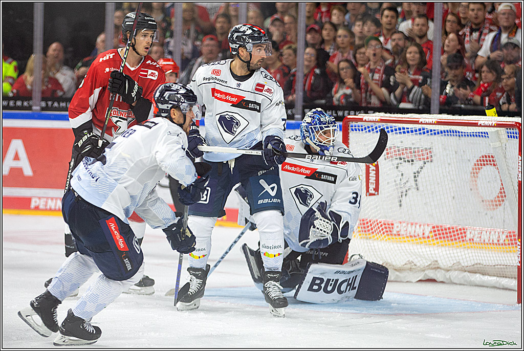 PENNY DEL; Koelner Haie- ERC Ingolstadt; Koeln, 17.09.2023
