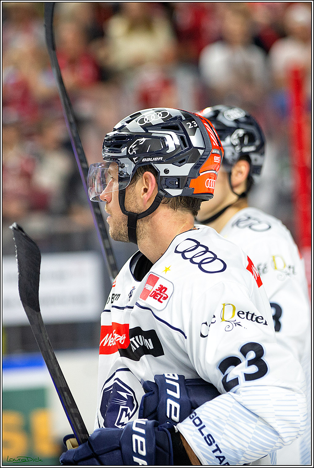 PENNY DEL; Koelner Haie- ERC Ingolstadt; Koeln, 17.09.2023