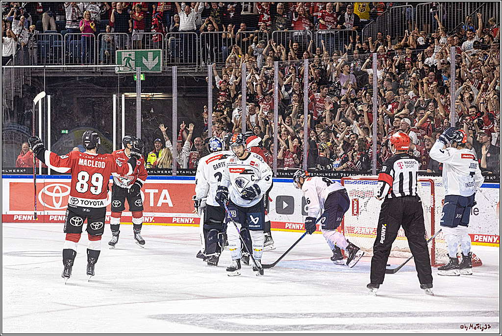 PENNY DEL 1. Koelner Haie - ERC Ingolstadt; Koeln, 17.09.2023