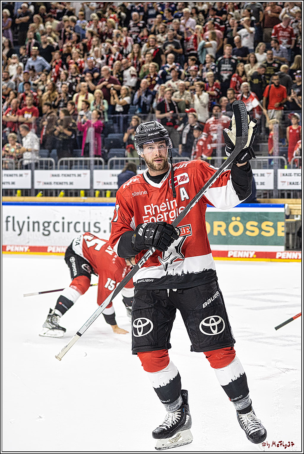 PENNY DEL 1. Koelner Haie - ERC Ingolstadt; Koeln, 17.09.2023