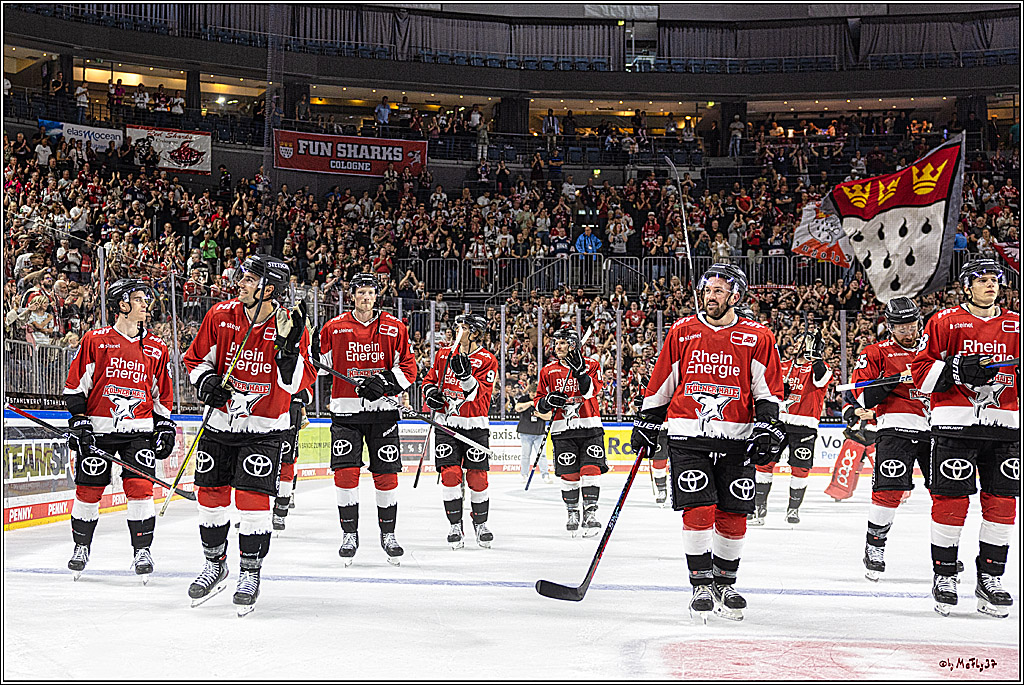 PENNY DEL 1. Koelner Haie - ERC Ingolstadt; Koeln, 17.09.2023