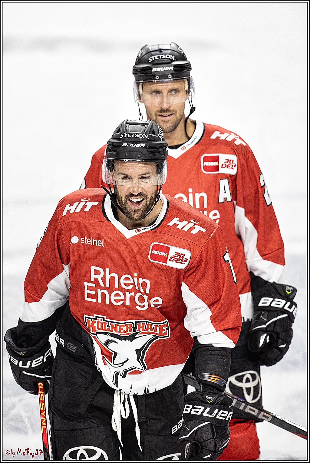 PENNY DEL 1. Koelner Haie - ERC Ingolstadt; Koeln, 17.09.2023