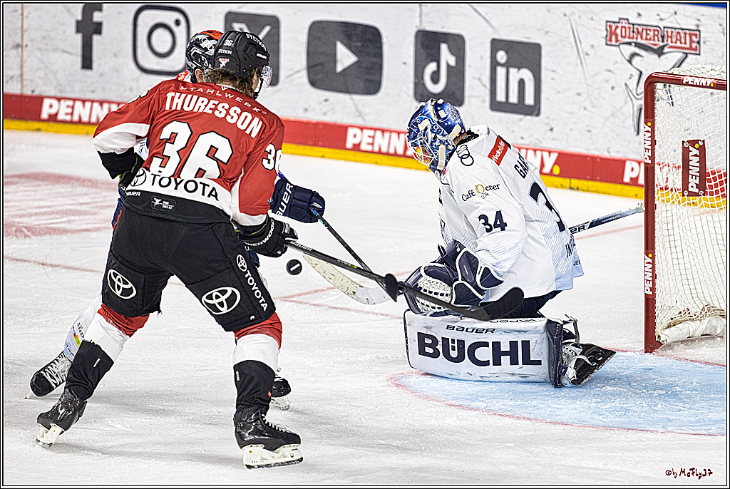 PENNY DEL 1. Koelner Haie - ERC Ingolstadt; Koeln, 17.09.2023