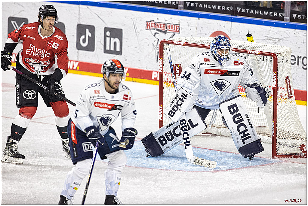 PENNY DEL 1. Koelner Haie - ERC Ingolstadt; Koeln, 17.09.2023