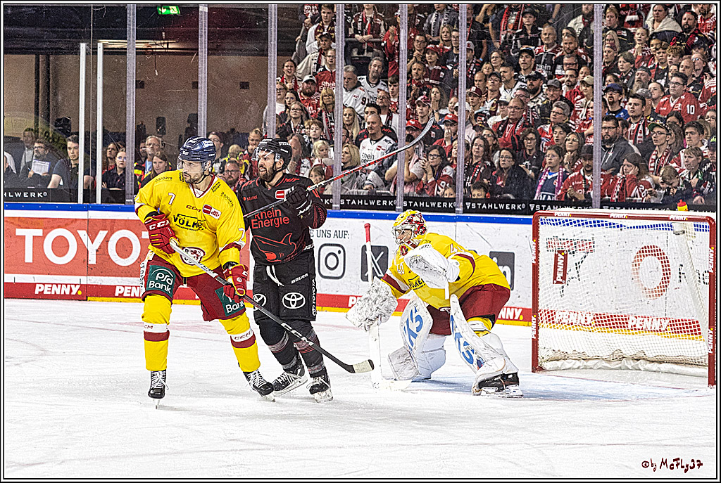 PENNY DEL 1 Koelner Haie - Duesseldorfer EG ; Koeln, 24.09.2023