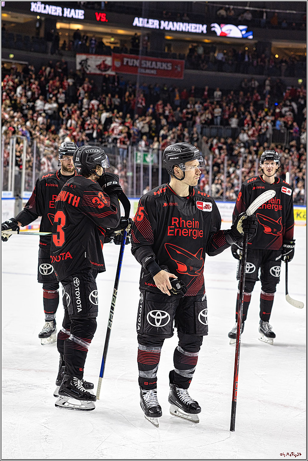 PENNY DEL 1 Koelner Haie - Duesseldorfer EG ; Koeln, 24.09.2023
