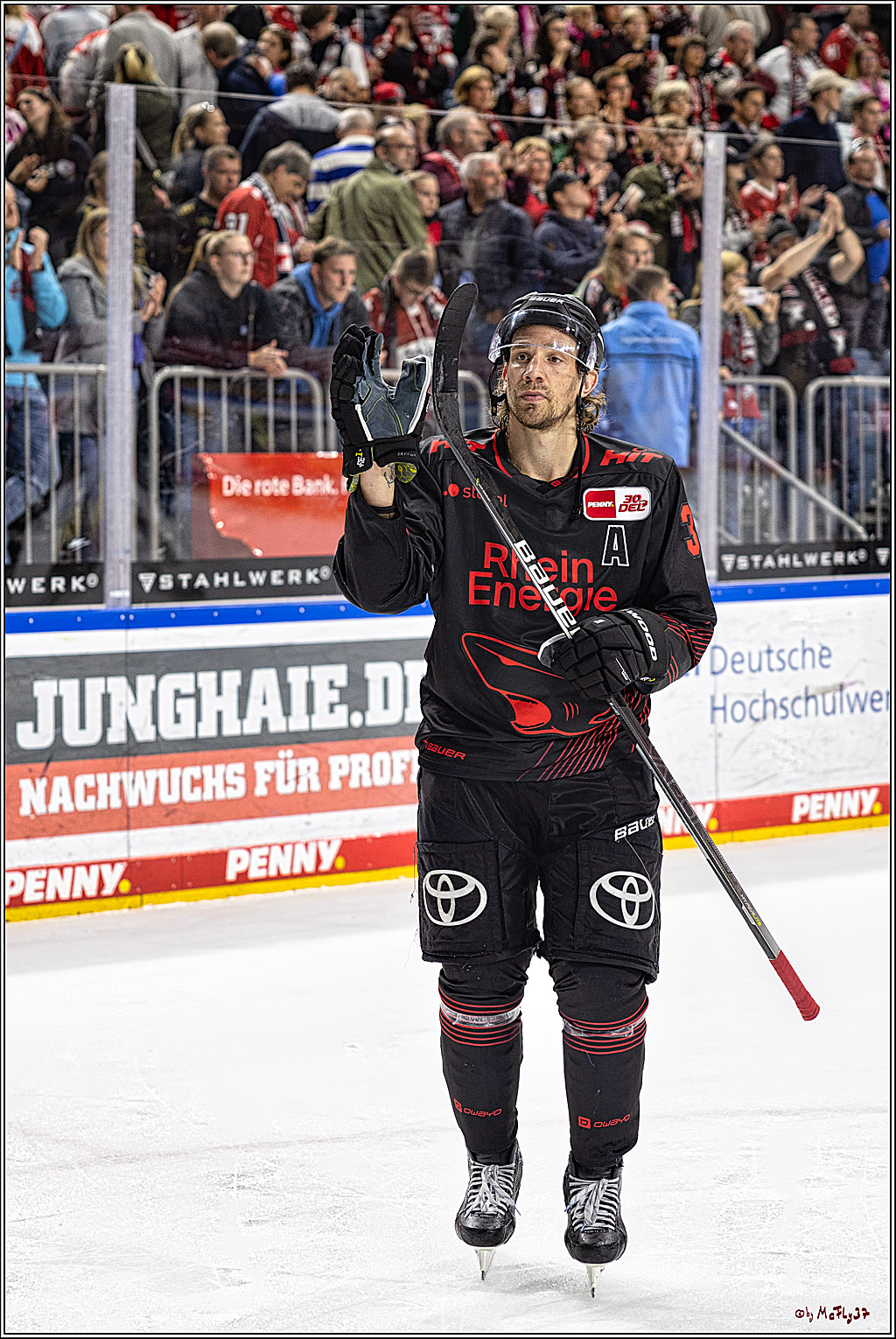 PENNY DEL 1 Koelner Haie - Duesseldorfer EG ; Koeln, 24.09.2023