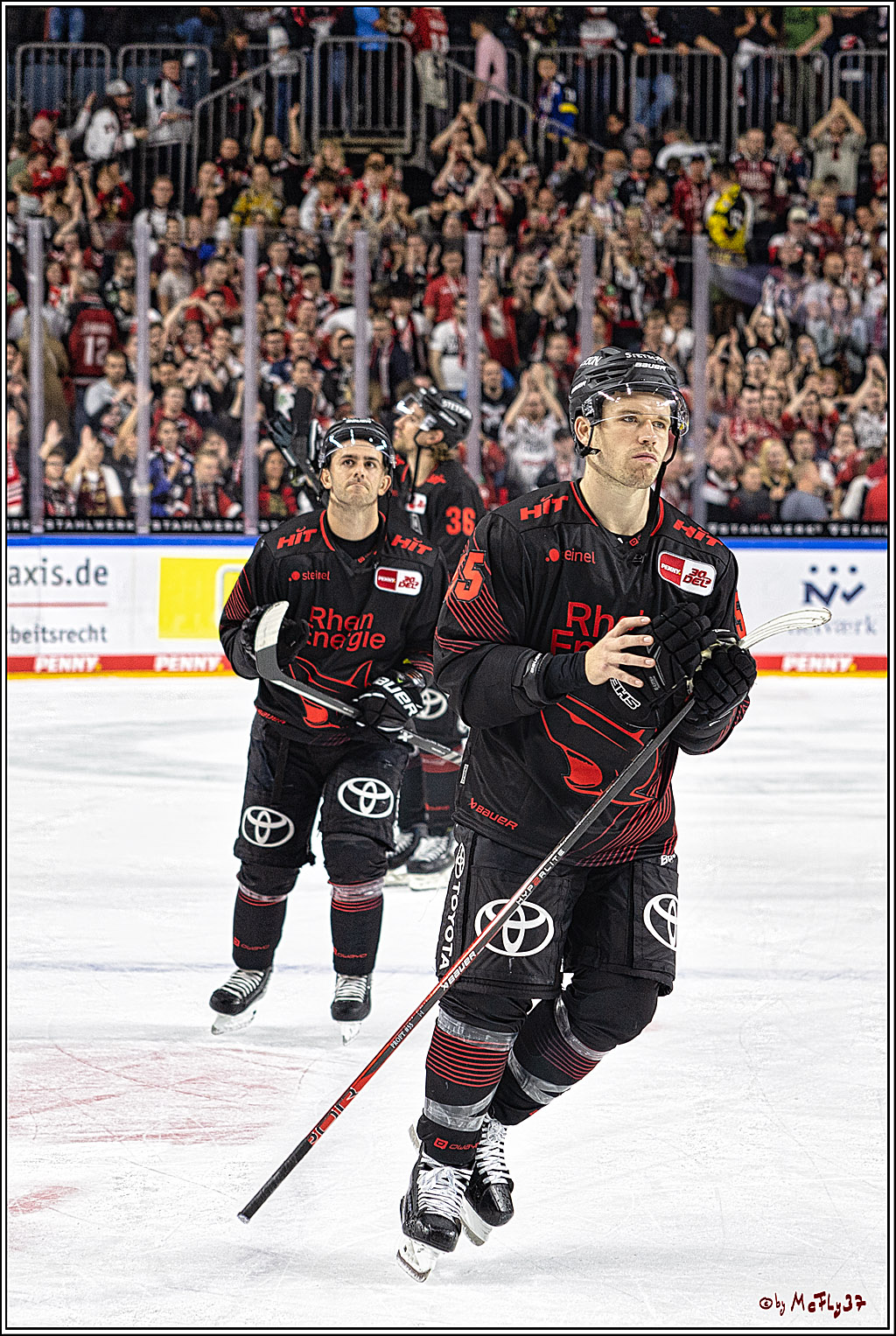 PENNY DEL 1 Koelner Haie - Duesseldorfer EG ; Koeln, 24.09.2023