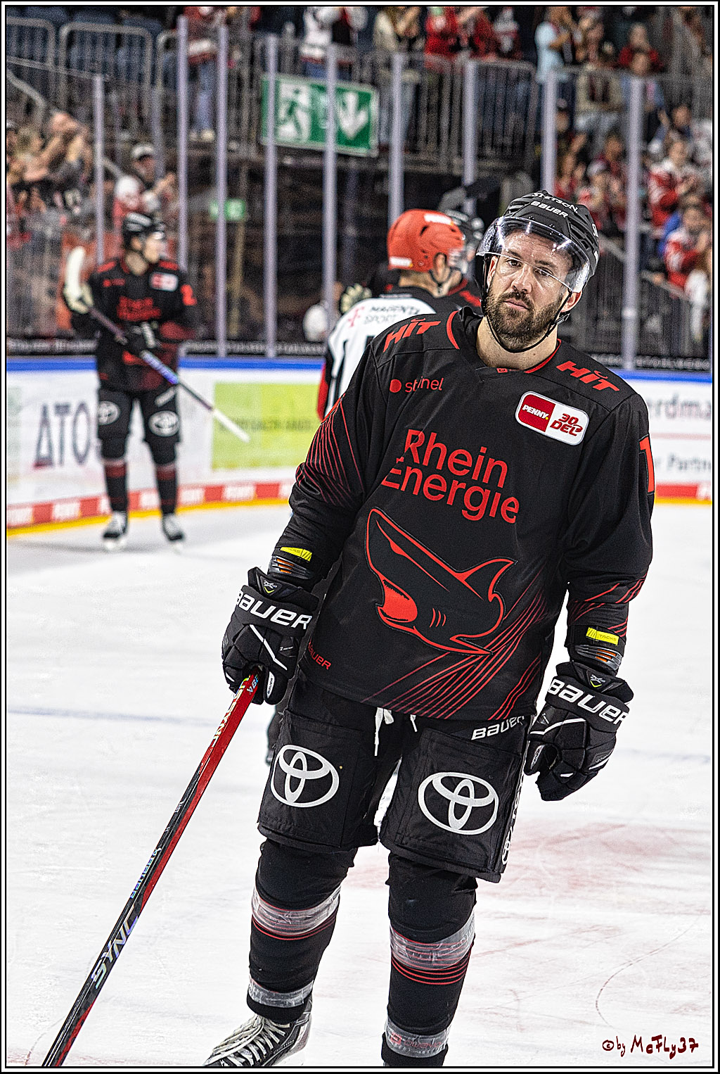 PENNY DEL 1 Koelner Haie - Duesseldorfer EG ; Koeln, 24.09.2023