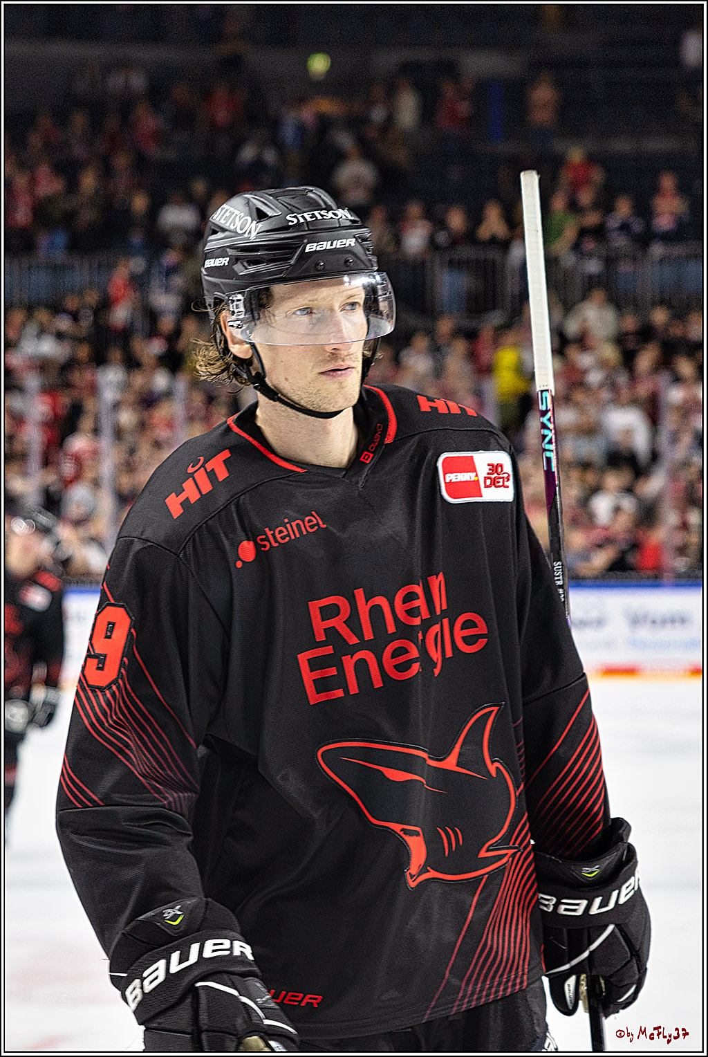 PENNY DEL 1 Koelner Haie - Duesseldorfer EG ; Koeln, 24.09.2023