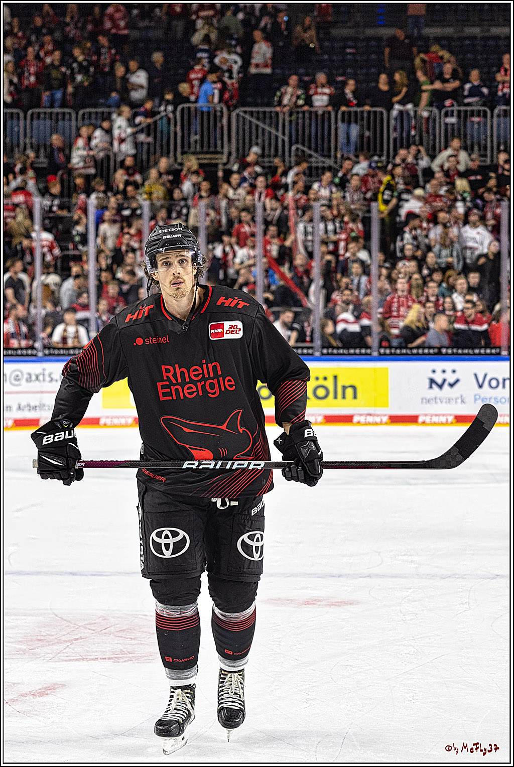 PENNY DEL 1 Koelner Haie - Duesseldorfer EG ; Koeln, 24.09.2023