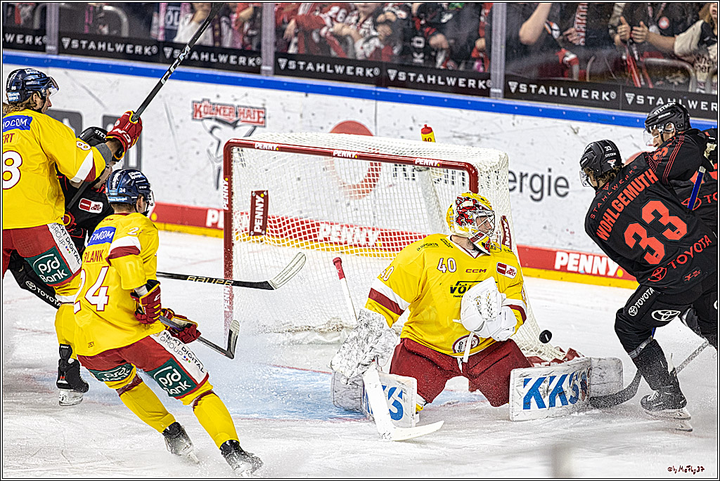 PENNY DEL 1 Koelner Haie - Duesseldorfer EG ; Koeln, 24.09.2023