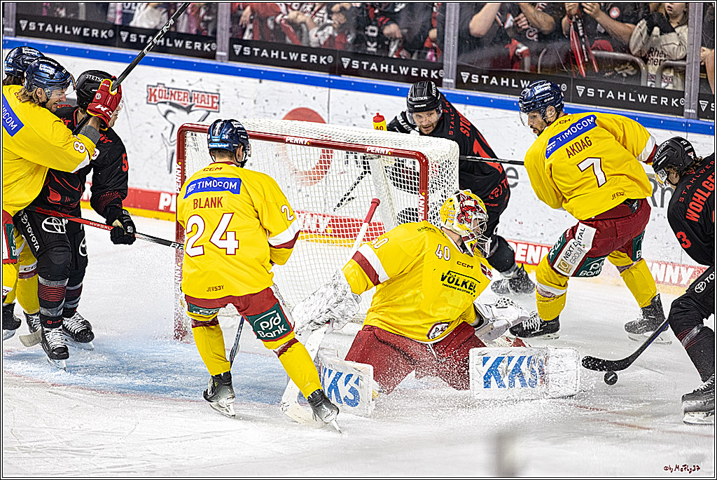 PENNY DEL 1 Koelner Haie - Duesseldorfer EG ; Koeln, 24.09.2023