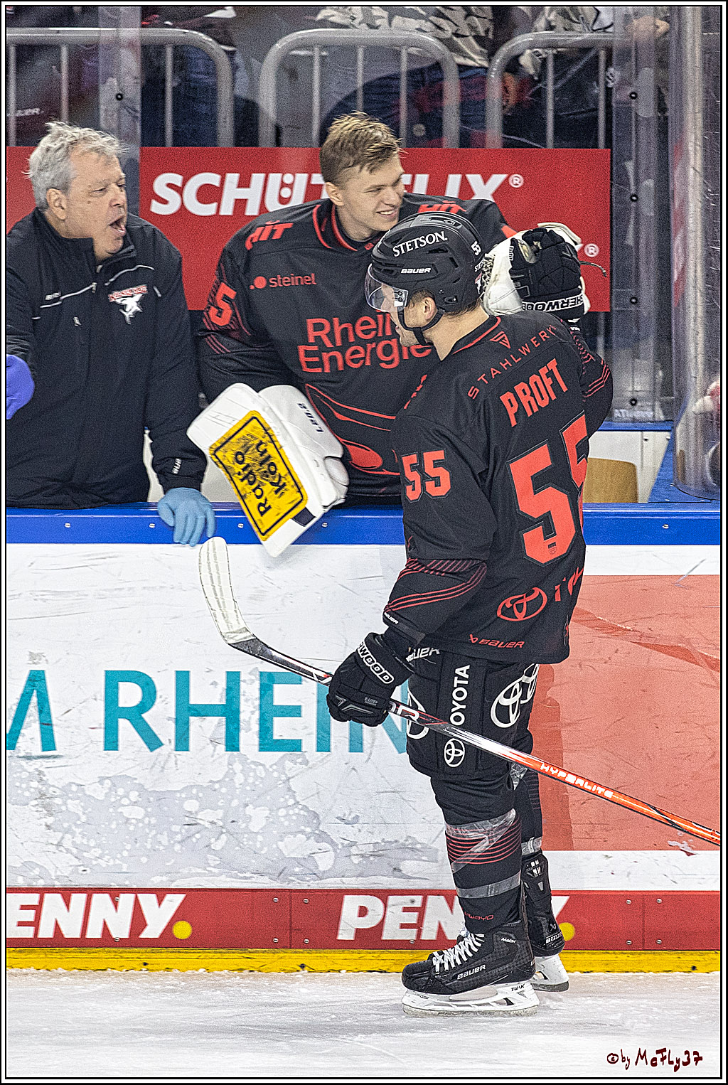 PENNY DEL 1 Koelner Haie - Duesseldorfer EG ; Koeln, 24.09.2023