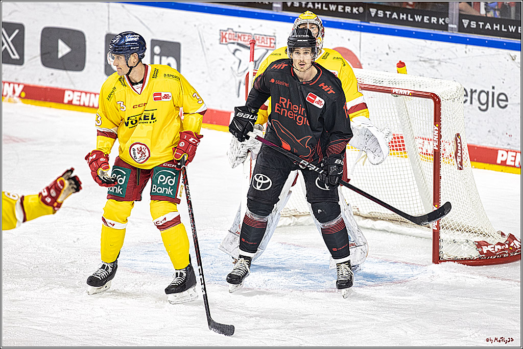 PENNY DEL 1 Koelner Haie - Duesseldorfer EG ; Koeln, 24.09.2023