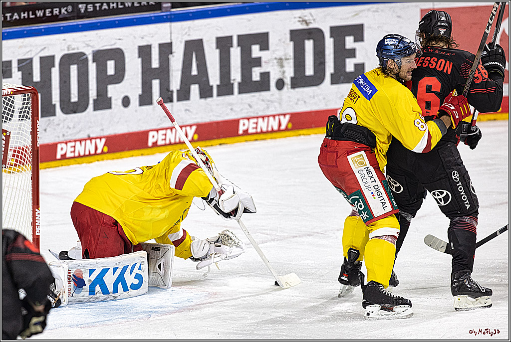 PENNY DEL 1 Koelner Haie - Duesseldorfer EG ; Koeln, 24.09.2023