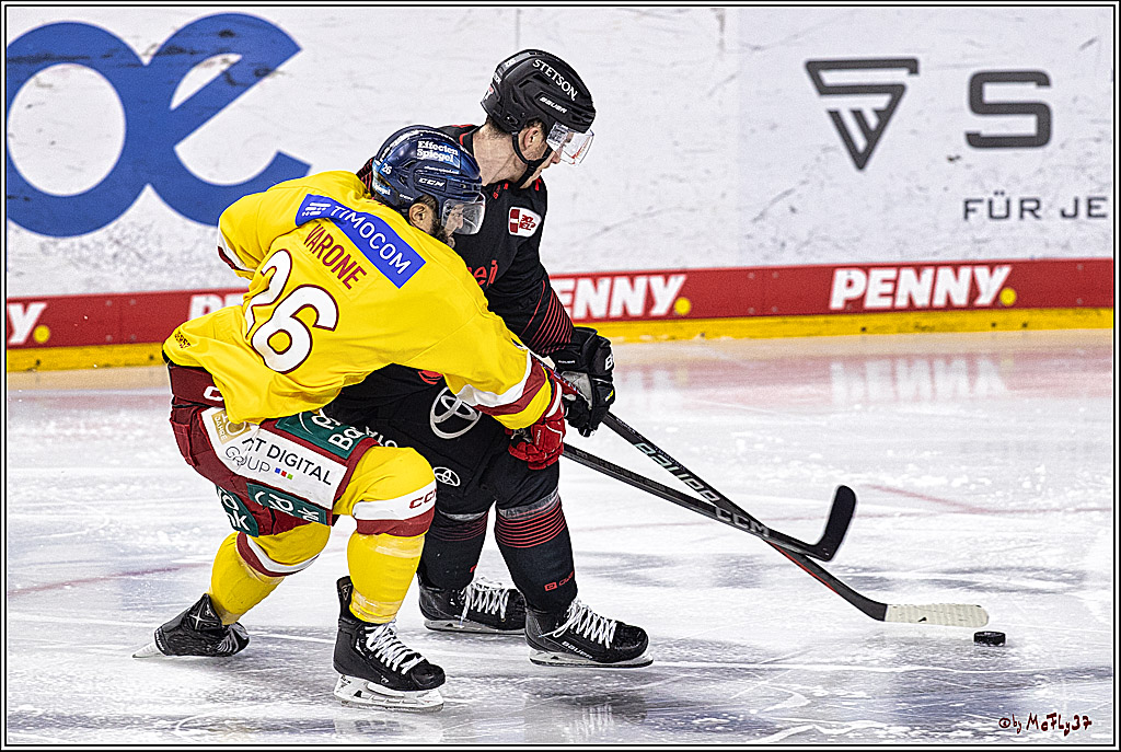PENNY DEL 1 Koelner Haie - Duesseldorfer EG ; Koeln, 24.09.2023