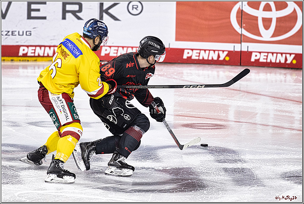 PENNY DEL 1 Koelner Haie - Duesseldorfer EG ; Koeln, 24.09.2023