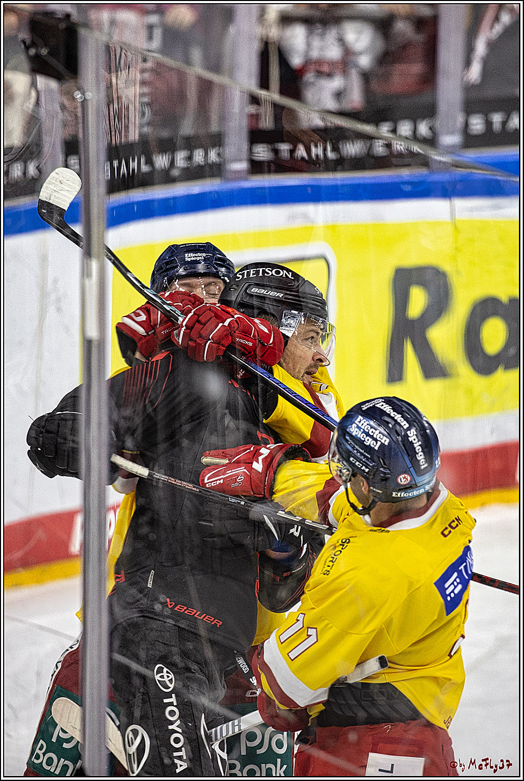 PENNY DEL 1 Koelner Haie - Duesseldorfer EG ; Koeln, 24.09.2023