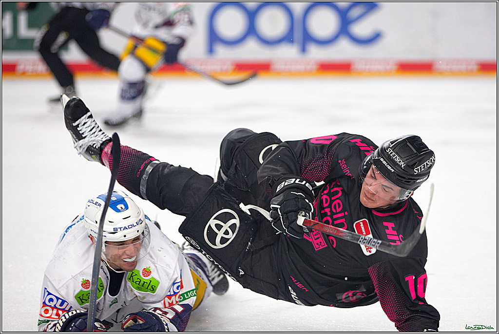 PENNY DEL; Koelner Haie- Eisbaeren Berlin; Koeln, 06.10.2023
