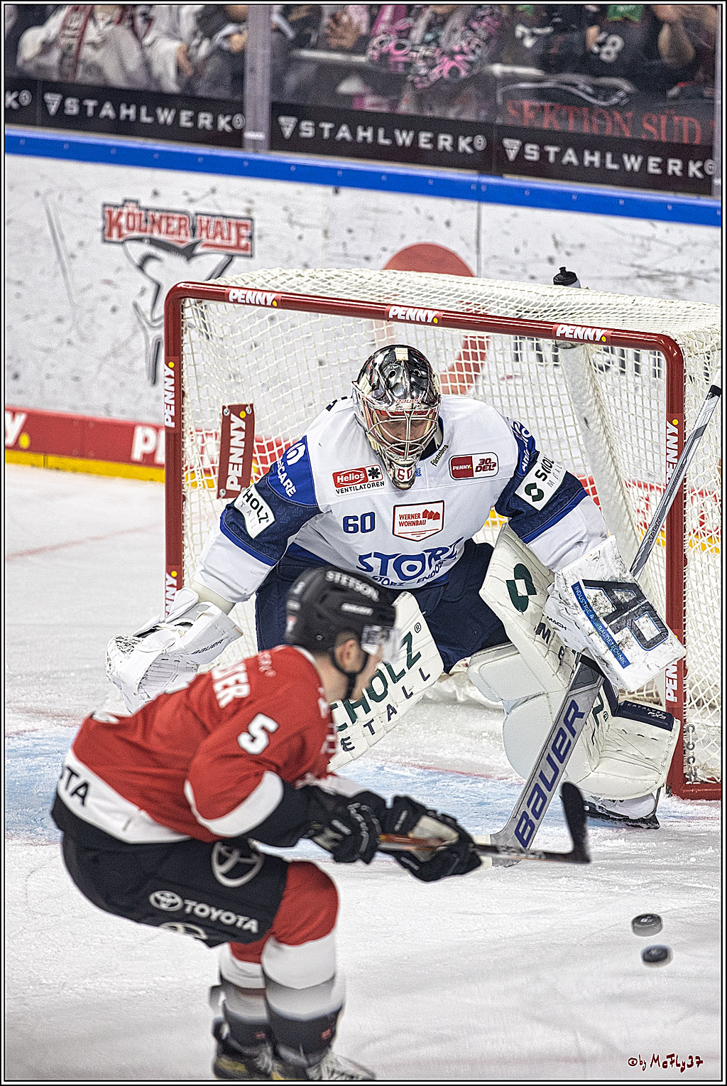 PENNY DEL 1. Koelner Haie - Schwenninger Wild Wings; Koeln, 25.10.2023