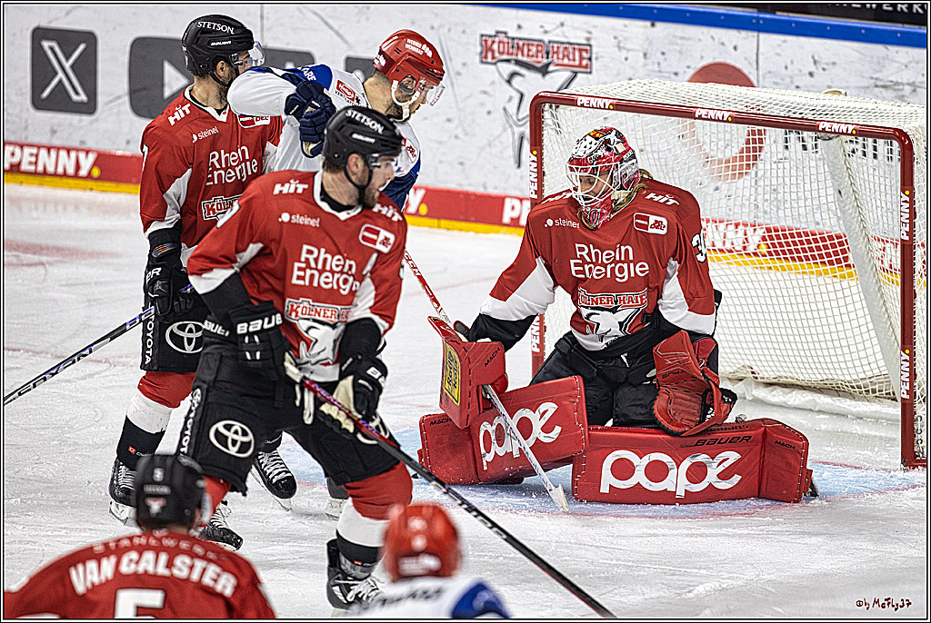 PENNY DEL 1. Koelner Haie - Schwenninger Wild Wings; Koeln, 25.10.2023