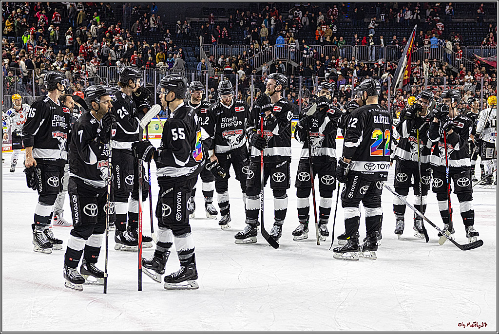 PENNY DEL 1. Koelner Haie - Fischtown Pinguins Bremerhaven; Koeln, 01.11.2023