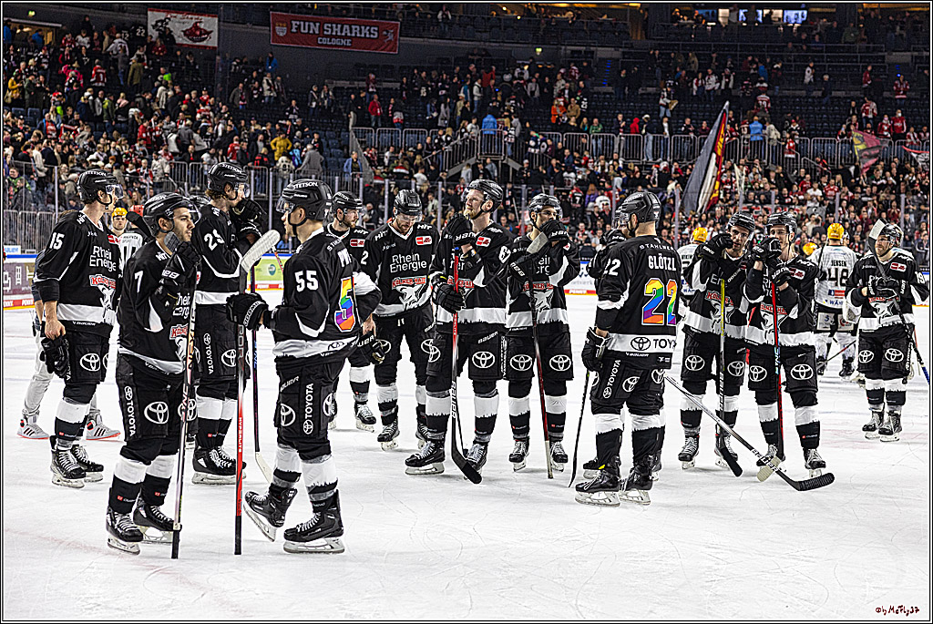 PENNY DEL 1. Koelner Haie - Fischtown Pinguins Bremerhaven; Koeln, 01.11.2023