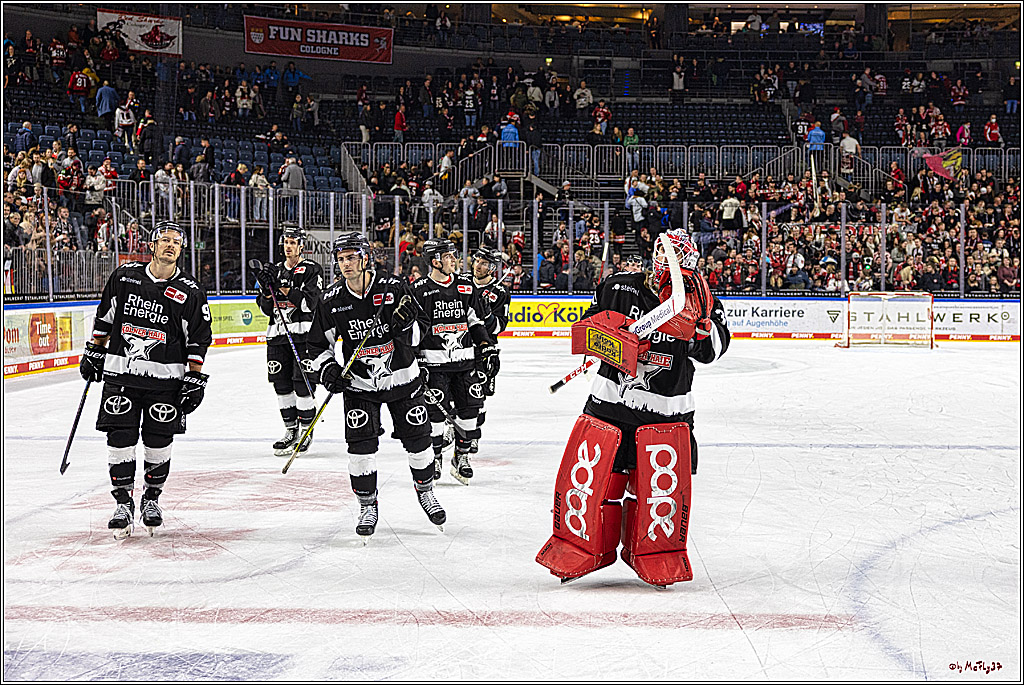PENNY DEL 1. Koelner Haie - Fischtown Pinguins Bremerhaven; Koeln, 01.11.2023