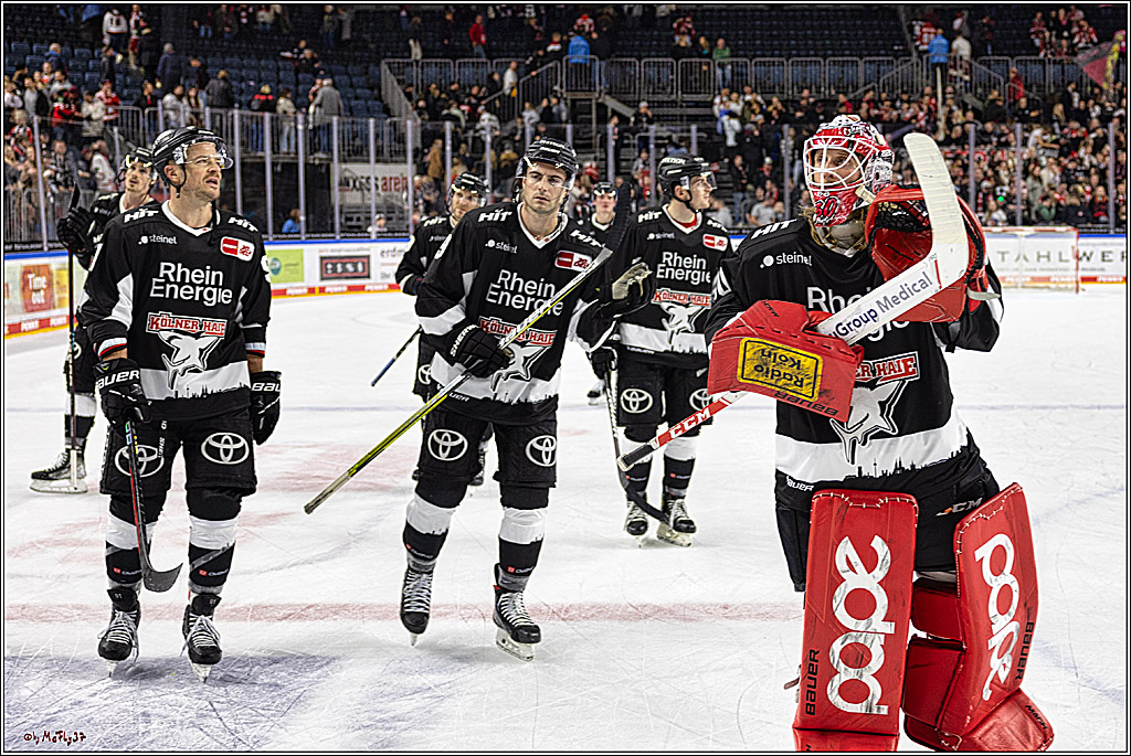 PENNY DEL 1. Koelner Haie - Fischtown Pinguins Bremerhaven; Koeln, 01.11.2023