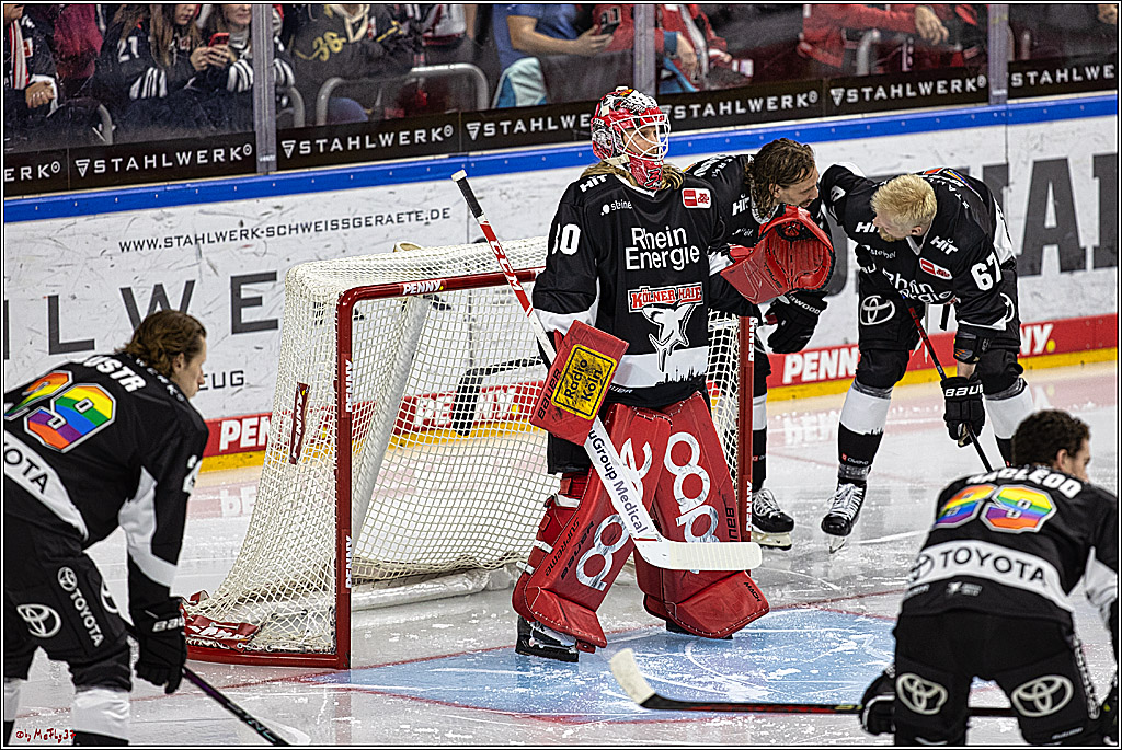 PENNY DEL 1. Koelner Haie - Fischtown Pinguins Bremerhaven; Koeln, 01.11.2023
