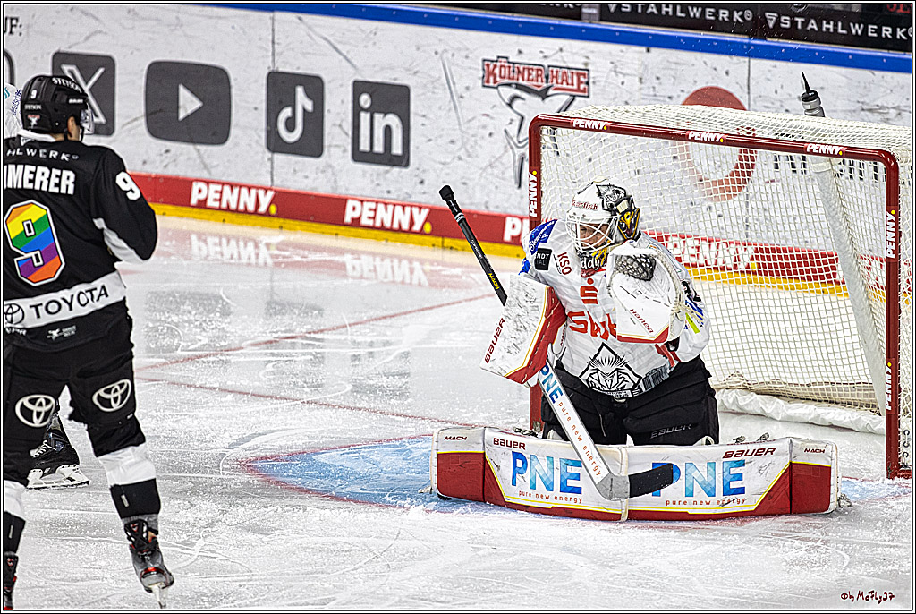 PENNY DEL 1. Koelner Haie - Fischtown Pinguins Bremerhaven; Koeln, 01.11.2023