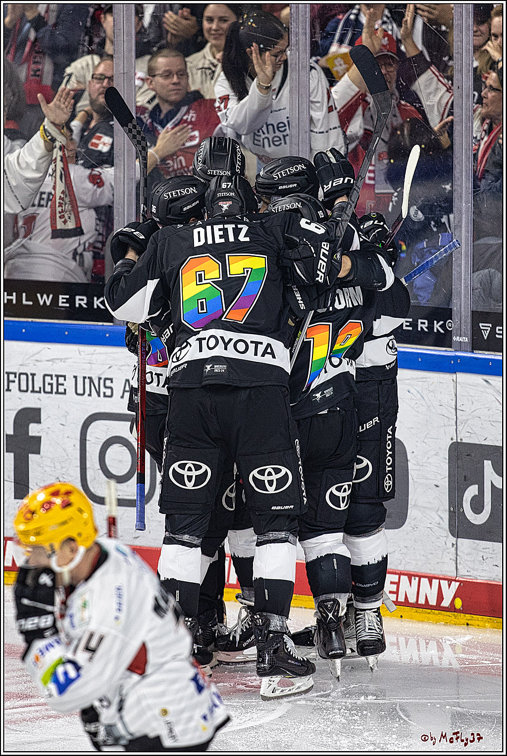 PENNY DEL 1. Koelner Haie - Fischtown Pinguins Bremerhaven; Koeln, 01.11.2023