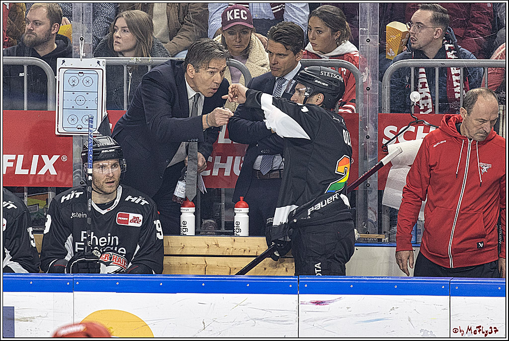 PENNY DEL 1. Koelner Haie - Fischtown Pinguins Bremerhaven; Koeln, 01.11.2023