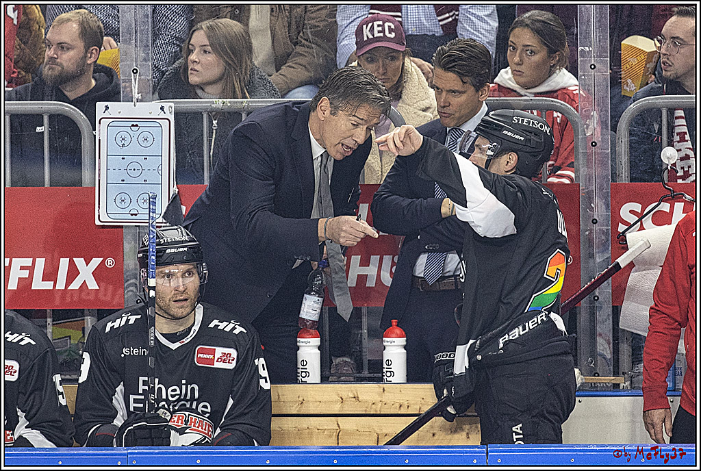 PENNY DEL 1. Koelner Haie - Fischtown Pinguins Bremerhaven; Koeln, 01.11.2023