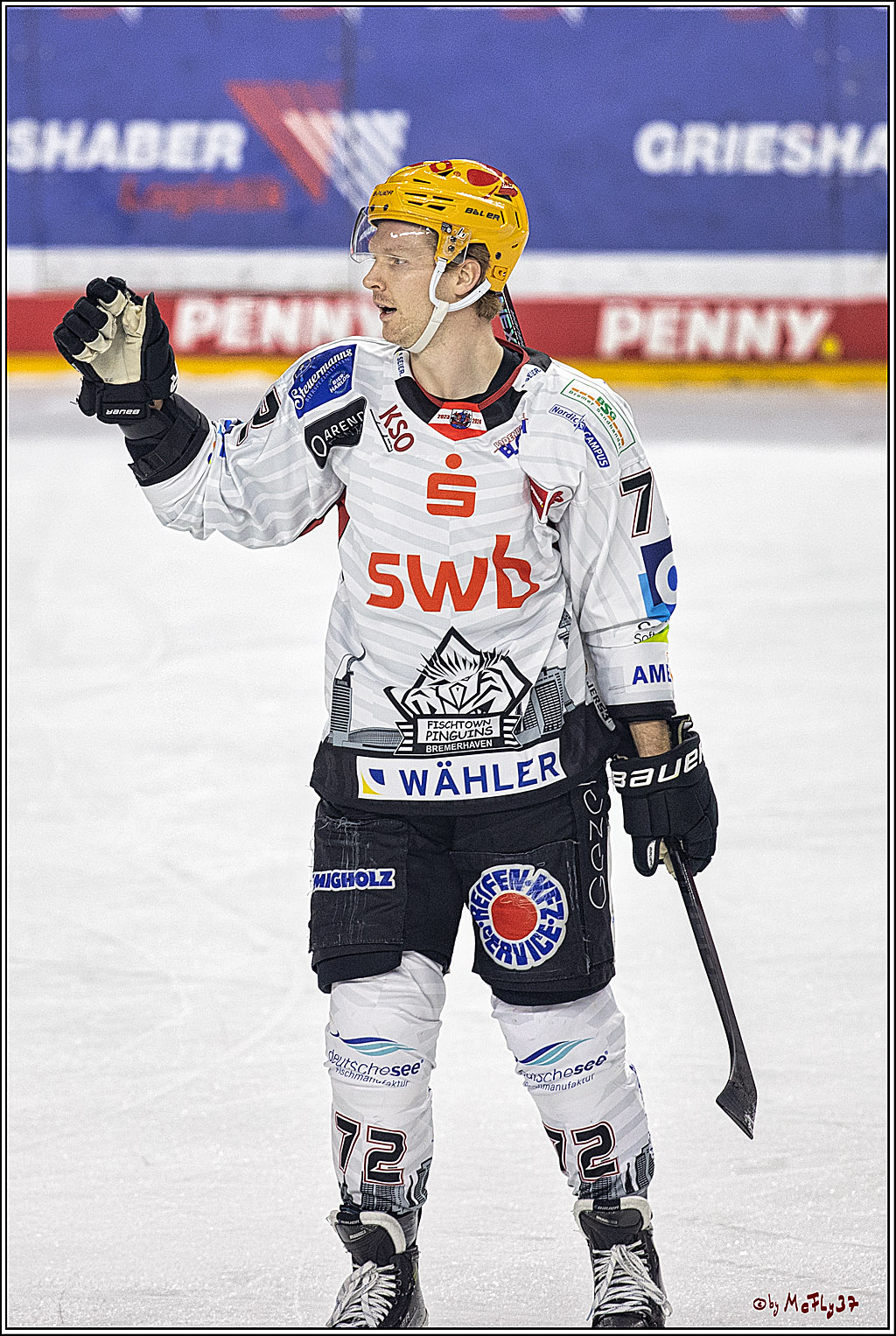 PENNY DEL 1. Koelner Haie - Fischtown Pinguins Bremerhaven; Koeln, 01.11.2023