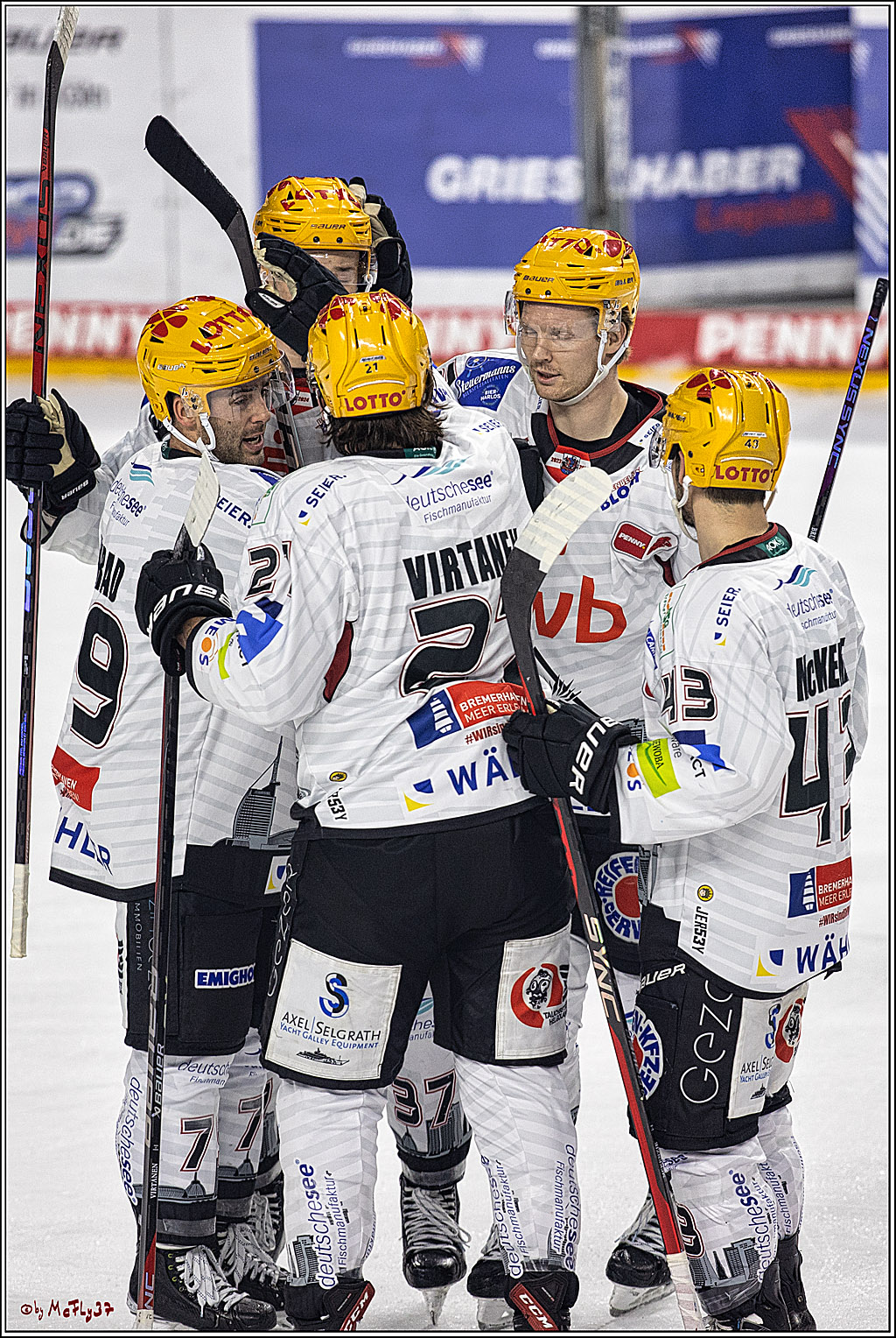 PENNY DEL 1. Koelner Haie - Fischtown Pinguins Bremerhaven; Koeln, 01.11.2023