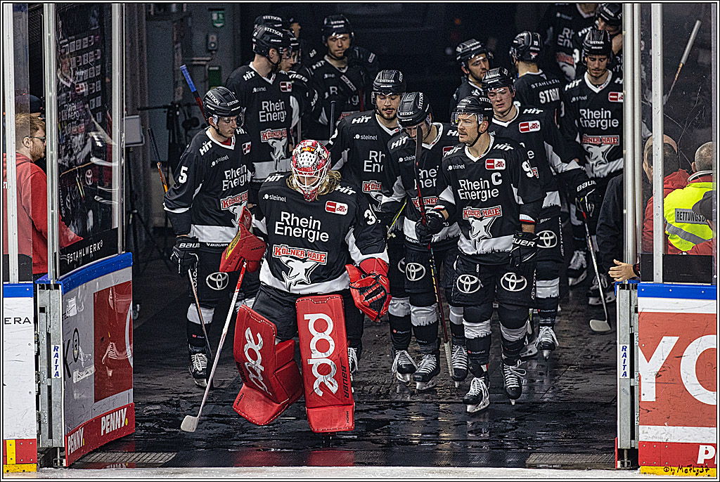 PENNY DEL 1. Koelner Haie - Fischtown Pinguins Bremerhaven; Koeln, 01.11.2023