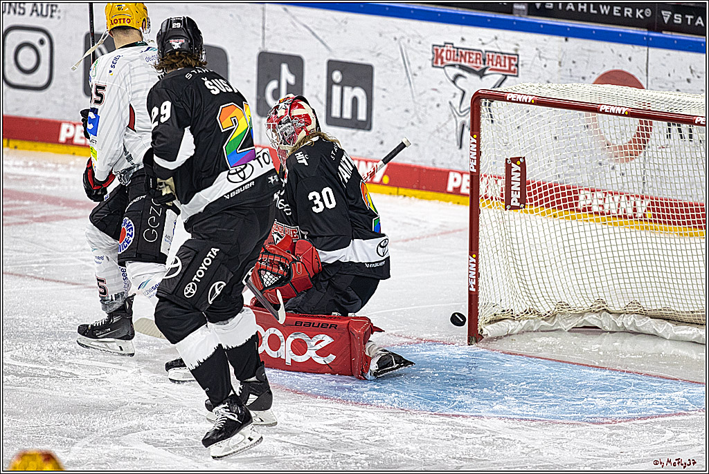 PENNY DEL 1. Koelner Haie - Fischtown Pinguins Bremerhaven; Koeln, 01.11.2023