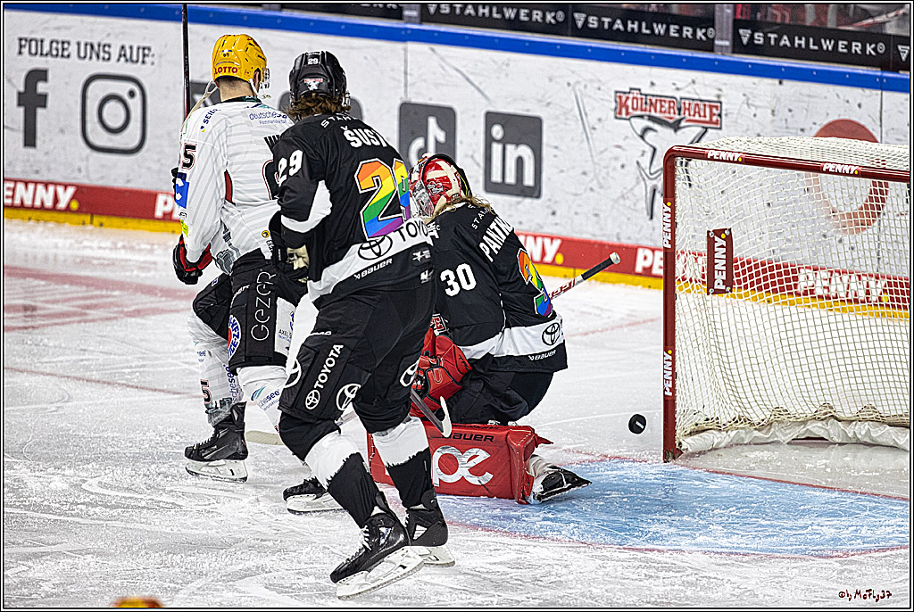 PENNY DEL 1. Koelner Haie - Fischtown Pinguins Bremerhaven; Koeln, 01.11.2023