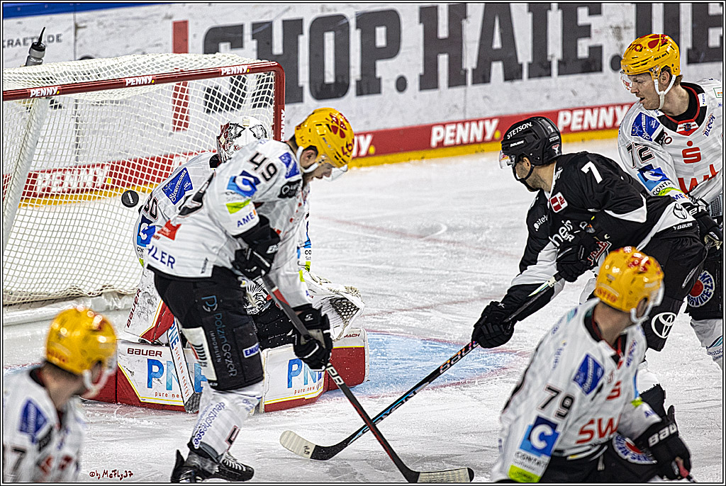 PENNY DEL 1. Koelner Haie - Fischtown Pinguins Bremerhaven; Koeln, 01.11.2023