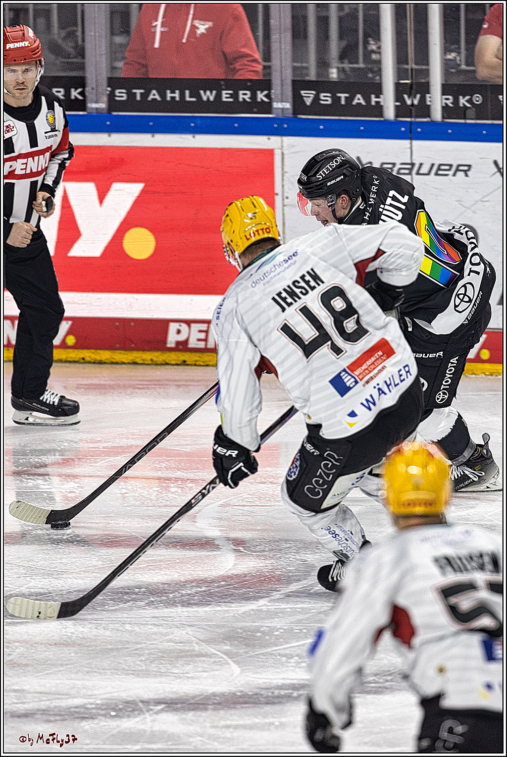 PENNY DEL 1. Koelner Haie - Fischtown Pinguins Bremerhaven; Koeln, 01.11.2023