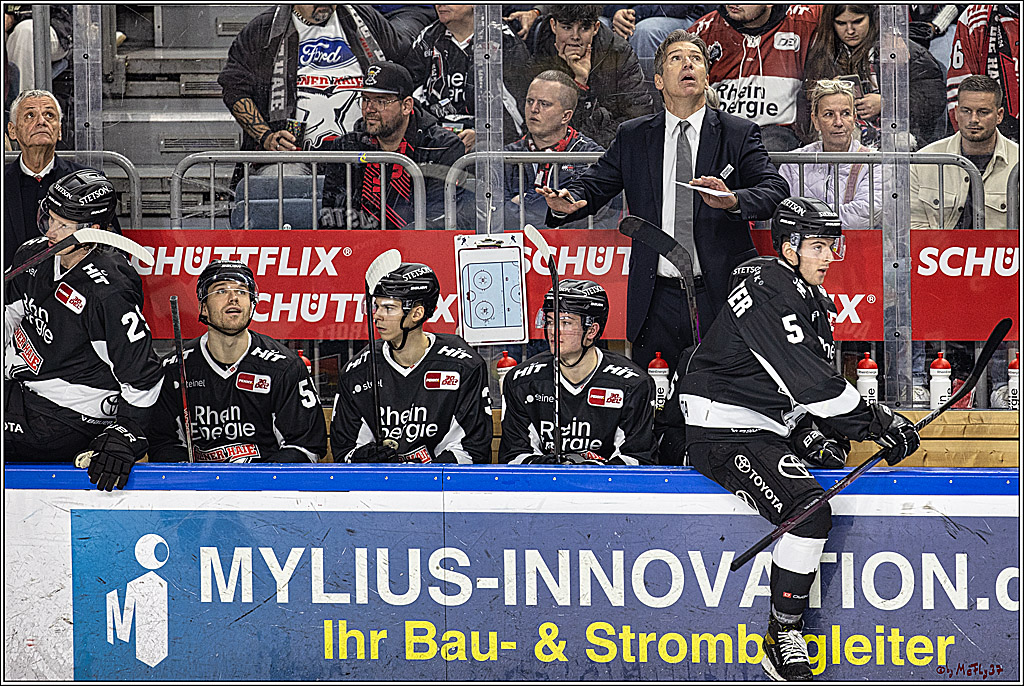 PENNY DEL 1. Koelner Haie - Fischtown Pinguins Bremerhaven; Koeln, 01.11.2023