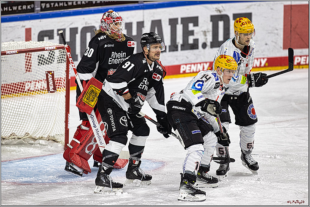PENNY DEL 1. Koelner Haie - Fischtown Pinguins Bremerhaven; Koeln, 01.11.2023