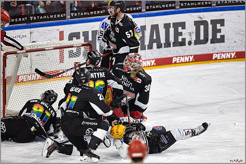 PENNY DEL 1. Koelner Haie - Fischtown Pinguins Bremerhaven; Koeln, 01.11.2023
