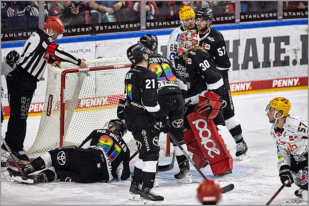 PENNY DEL 1. Koelner Haie - Fischtown Pinguins Bremerhaven; Koeln, 01.11.2023
