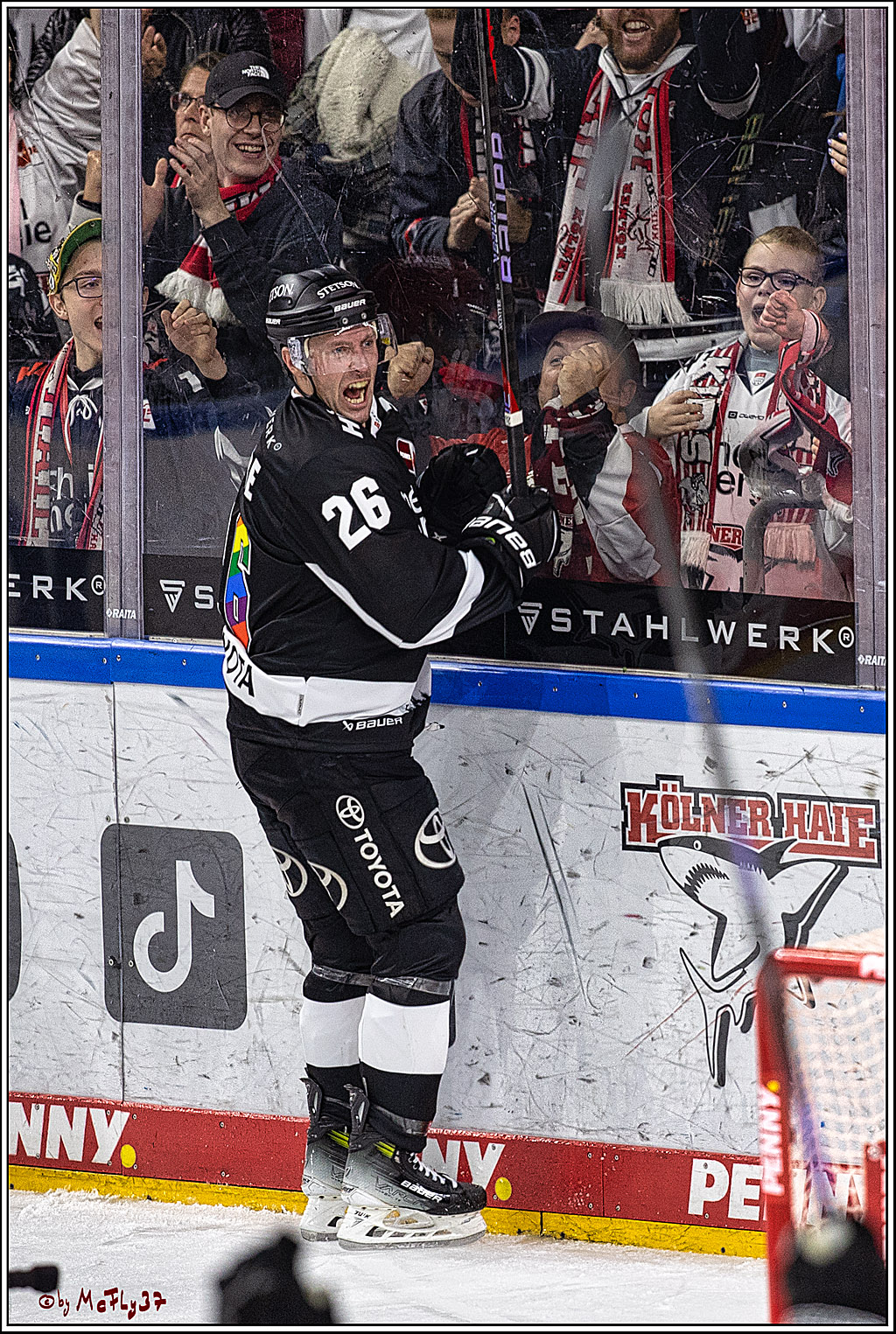 PENNY DEL 1. Koelner Haie - Fischtown Pinguins Bremerhaven; Koeln, 01.11.2023