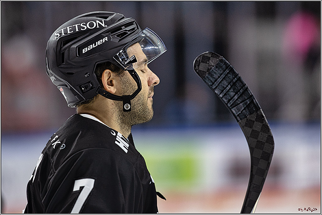 PENNY DEL 1. Koelner Haie - Fischtown Pinguins Bremerhaven; Koeln, 01.11.2023