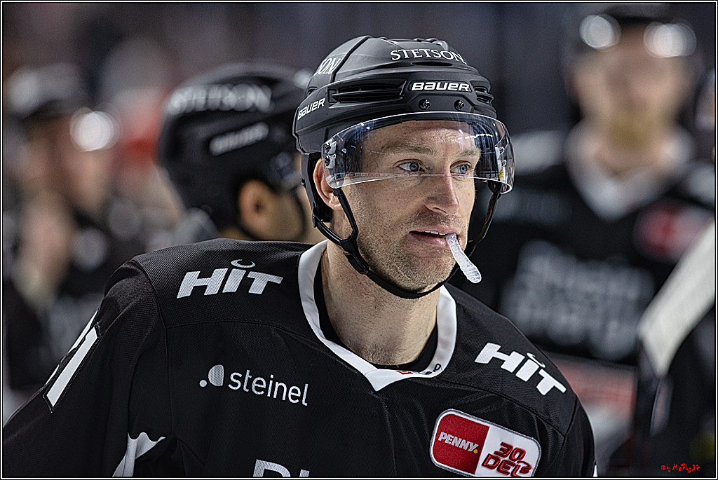 PENNY DEL 1. Koelner Haie - Fischtown Pinguins Bremerhaven; Koeln, 01.11.2023