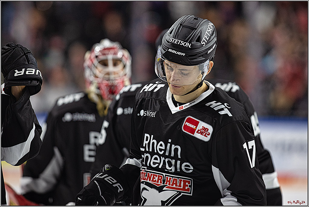 PENNY DEL 1. Koelner Haie - Fischtown Pinguins Bremerhaven; Koeln, 01.11.2023